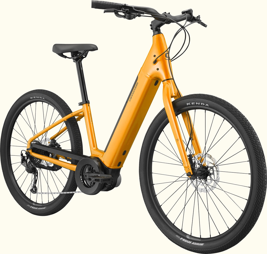 Cannondale Adventure Neo 4