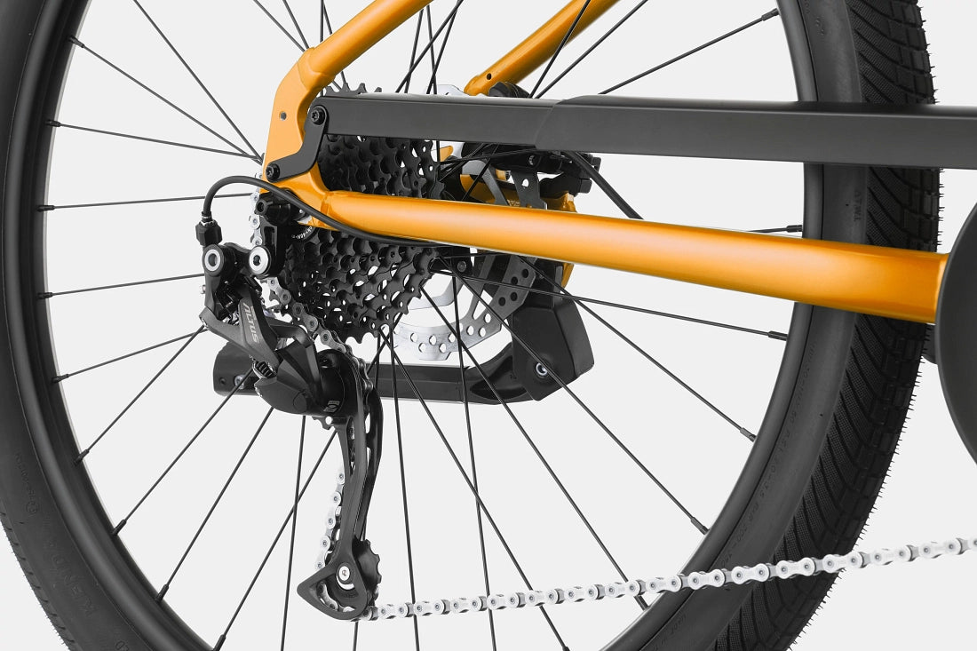 Cannondale Adventure Neo 4