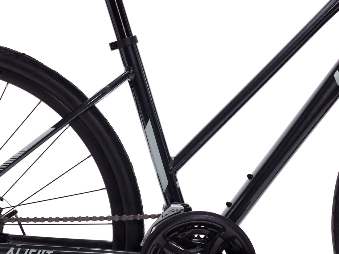 Liv Alight 3 Disc Step Through