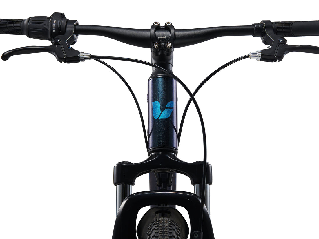 Liv Tempt 24 Disc