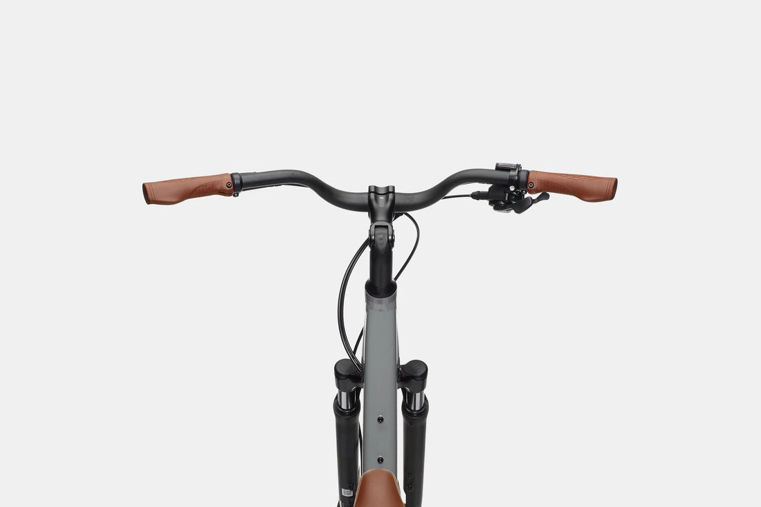 Cannondale Adventure 1