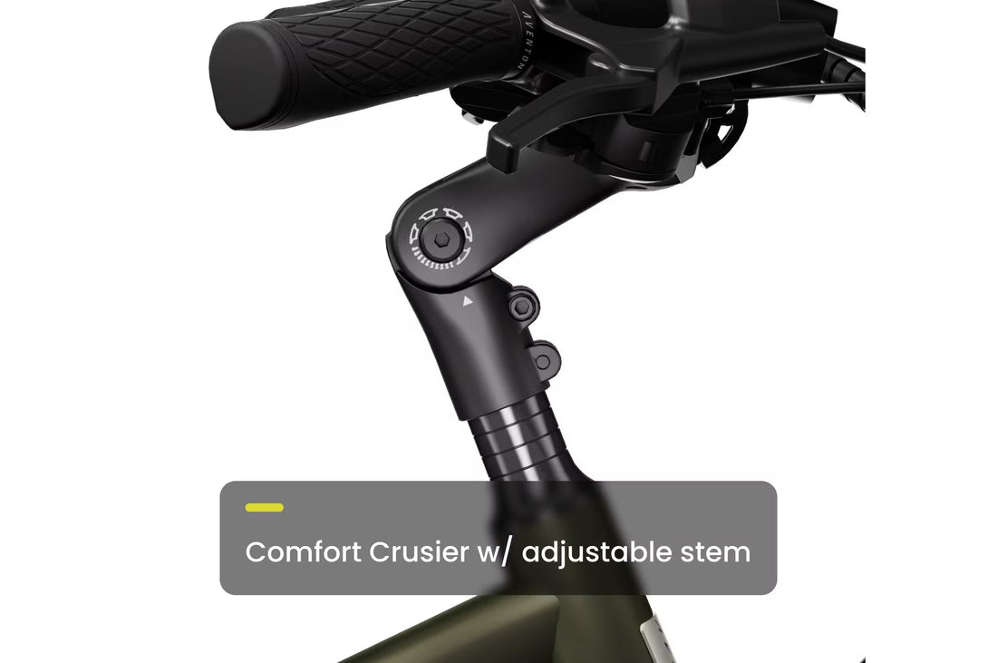 Aventon Pace 500.3 eBike